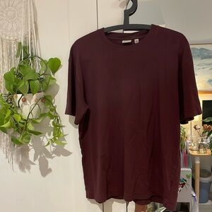 Aritzia BABATON pegasus t-shirt